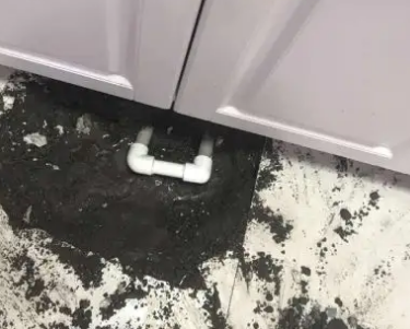 蒙山查漏水哪家好